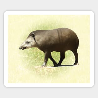 Tapir Sticker